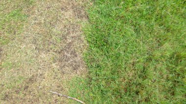 Futbol sahası arkaplan dokusunda farklı yeşil çimen rengi