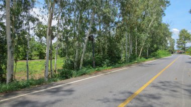 Tayland, Phatthalung 'da beton yol