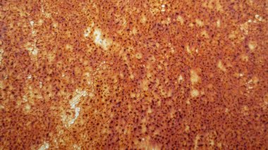 eski metal demir pas arka plan dokusu