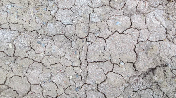 Grey crack of dried soil background texture — 스톡 사진