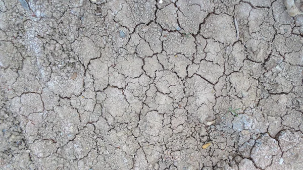 Rachadura cinzenta da textura de fundo do solo seco — Fotografia de Stock