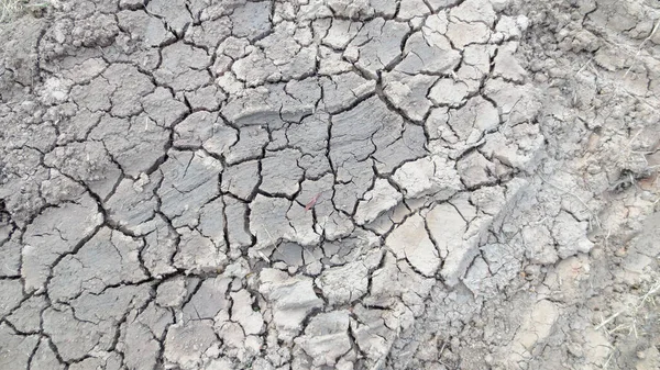 Grey crack of dried soil background texture — 스톡 사진