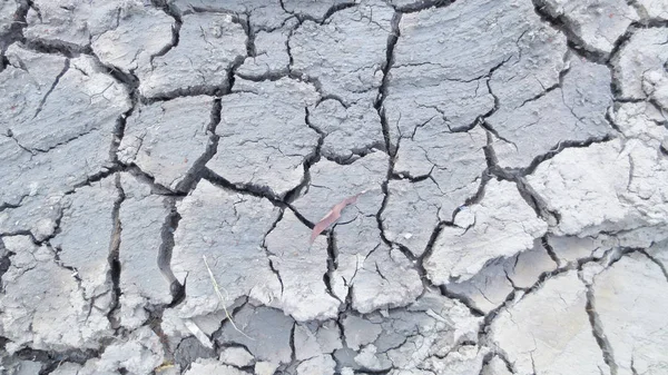 Сіра тріщина сухого фону грунту — стокове фото