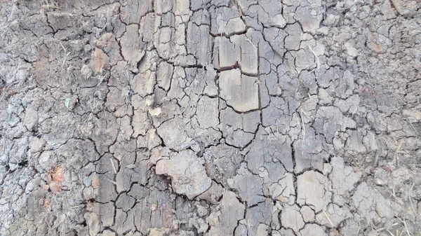 Kurumuş toprak arkaplan dokusunun gri çatlağı — Stok fotoğraf