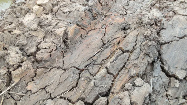 干土壤质地灰裂缝 — 图库照片