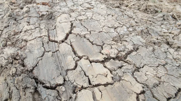 Grey crack of dried soil background texture — Stock Photo, Image