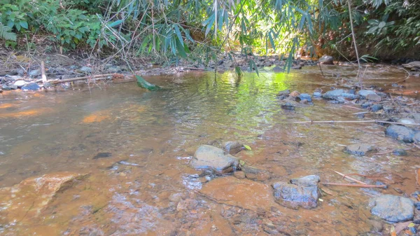 water of the stream in the natural park at Phatthalung, Thailand