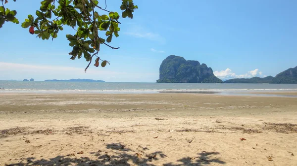 Krásné písečné moře a strom v Pak Meng Beach Trang provincie, Thajsko — Stock fotografie