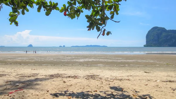 Beautiful sand sea and tree at Pak Meng Beach Trang province,Thailand — 스톡 사진