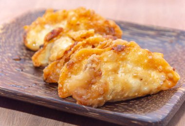 Japon gyoza veya köfte tabaktabaktabaktabak tabaktabak