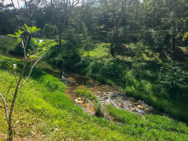 Água do córrego no parque natural em Phatthalung, Tailândia — Fotografia de Stock