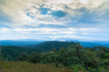 Güzel gökyüzü, bulut, sis ve dağ Doi Mon Jong, Chiang Mai, Tayland