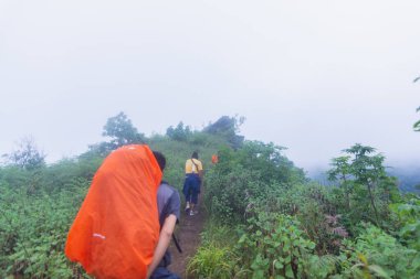 Tayland Chaing Mai 'de, mon jong doi tropikal yağmur ormanlarında yoğun sis içinde yürüyen bir turist.