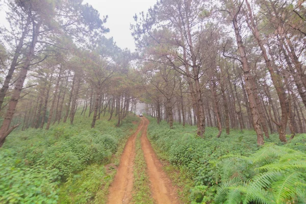 Strada sterrata sporca attraverso la montagna a Doi Mon Jong, Chiang Mai, Thailandia — Foto Stock