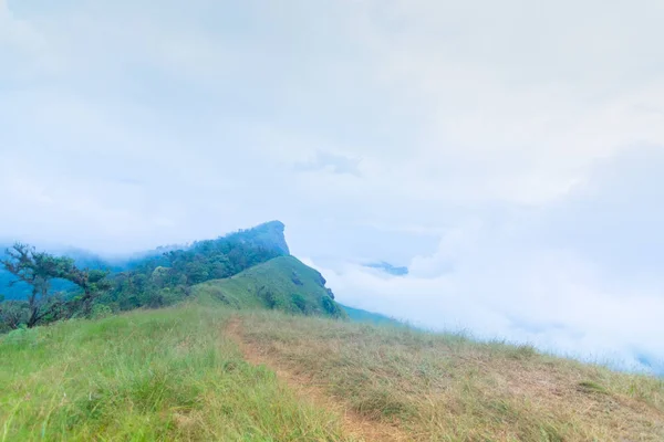 Hermoso cielo, nube, niebla y montaña en Doi Mon Jong, Chiang Mai, Tailandia —  Fotos de Stock