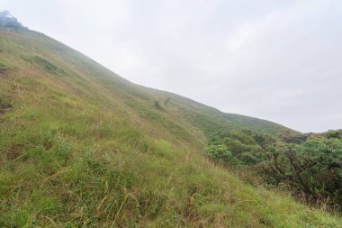 Tayland, mon jong doi 'da dağın tepesinde sis ve yeşil çim tepesi
