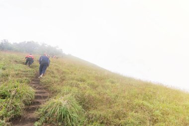 Bir grup turist Tayland 'daki mon jong doi' de dağın tepesinde yürüyorlar.