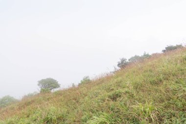 Tayland, mon jong doi 'da dağın tepesinde sis ve yeşil çim tepesi