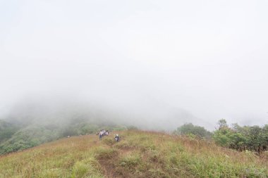 Bir grup turist Tayland 'daki mon jong doi' de dağın tepesinde yürüyorlar.