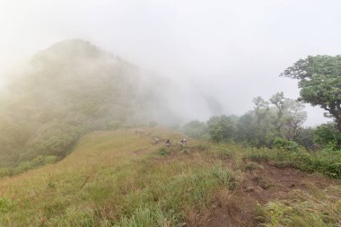 Tayland, mon jong doi 'da dağın tepesinde sis ve yeşil çim tepesi
