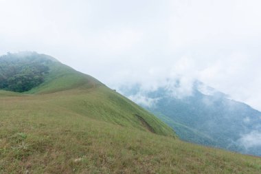 Mon jong doi, Tayland, Chiang Mai 'deki dağın tepesindeki yeşil çim tarlası.