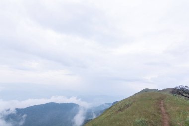 Mon jong doi, Tayland, Chiang Mai 'deki dağın tepesindeki yeşil çim tarlası.