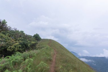 Mon jong doi, Tayland, Chiang Mai 'deki dağın tepesindeki yeşil çim tarlası.