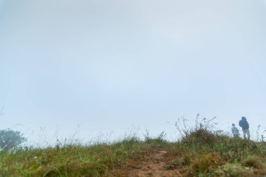 Sabah yoğun sis ve sis vardı. Dağın tepesinde, mon jong doi, Chiang mai, Tayland