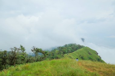 Sabahleyin Chiang Mai, Tayland yakınlarındaki popüler bir dağ olan Doi Mon Jong 'da bulut ve sis.