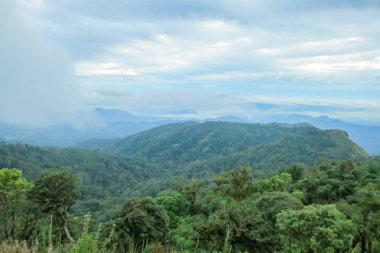 Sabahleyin Chiang Mai, Tayland yakınlarındaki popüler bir dağ olan Doi Mon Jong 'da bulut ve sis.