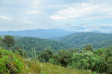 Sabahleyin Chiang Mai, Tayland yakınlarındaki popüler bir dağ olan Doi Mon Jong 'da bulut ve sis.