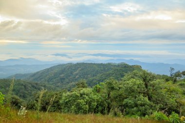 Sabahleyin Chiang Mai, Tayland yakınlarındaki popüler bir dağ olan Doi Mon Jong 'da bulut ve sis.
