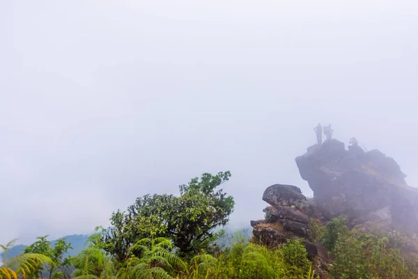 Niebla pesada, nube y niebla en la selva tropical en mon jong doi en Chaing mai, Tailandia —  Fotos de Stock