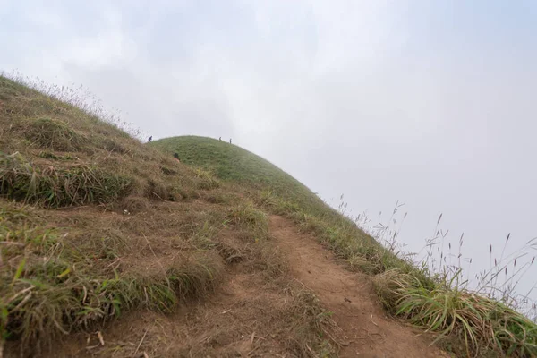 Niebla y hierba verde colina cima de la montaña en mon jong doi, Tailandia —  Fotos de Stock