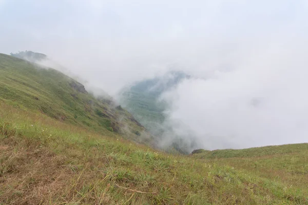 タイのモンジョン・ドイの山の頂上にある霧と緑の草の丘 — ストック写真