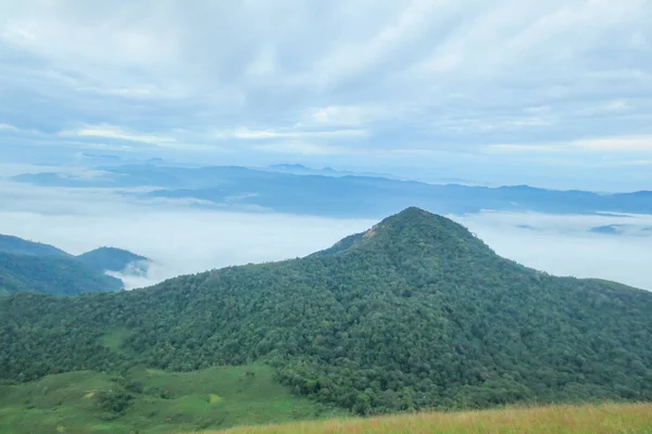 Chmura i mgła rano w Doi Mon Jong, popularnej górze w pobliżu Chiang Mai, Tajlandia — Zdjęcie stockowe
