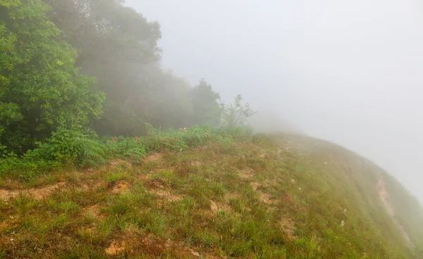 雲と霧がタイのチェンマイ、モンジョンの山の上にある — ストック写真