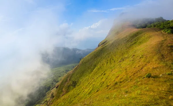 Campo verde fresco en la cima de la montaña en Monjong, Chiang Mai, Tailandia —  Fotos de Stock