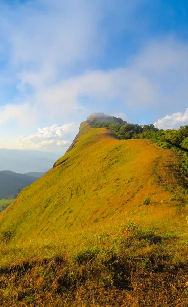 Campo verde fresco en la cima de la montaña en Monjong, Chiang Mai, Tailandia —  Fotos de Stock