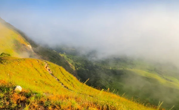 タイのチェンマイ、モンジョンの山の上の新鮮な緑のフィールド — ストック写真