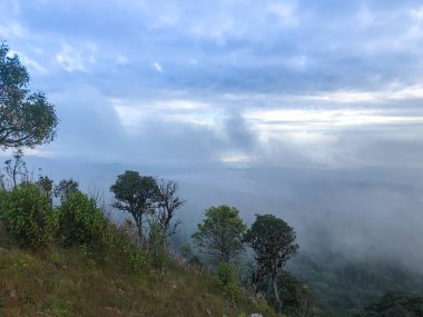 Chaing Mai, Tayland 'da dağın tepesinde tepe ve bulut.