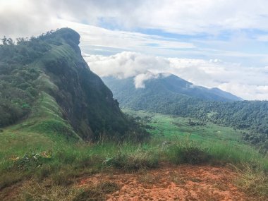 Tayland Chaing Mai 'deki mon jong dağının tepesinde güzel bir manzara ve yeşil çimen.