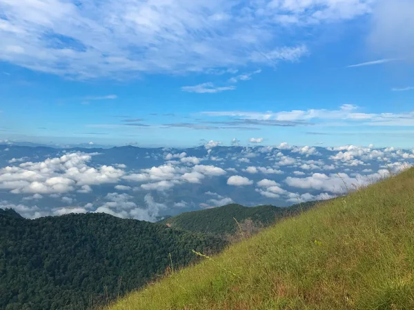 Belle vue et herbe verte sur le sommet de la montagne mon jong à Chaing mai, Thaïlande — Photo