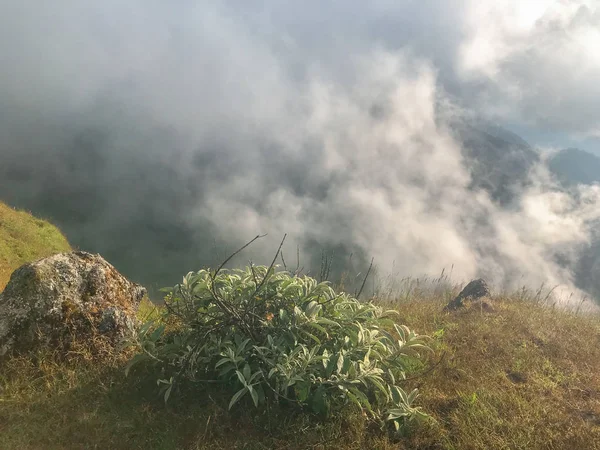 Scena przyrodnicza i wielka skała na szczycie góry w Chaing Mai, Tajlandia — Zdjęcie stockowe