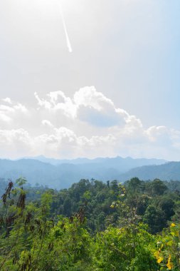 Pilok, Thong Pha Phum Ulusal Parkı Kanchanaburi, Tayland 'daki ağaç ve dağ manzarası