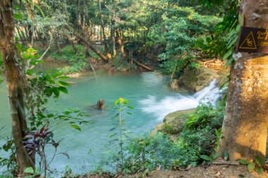 Güzel şelale sahnesi Kroeng Krawia Şelalesi Kanchanaburi, Tayland