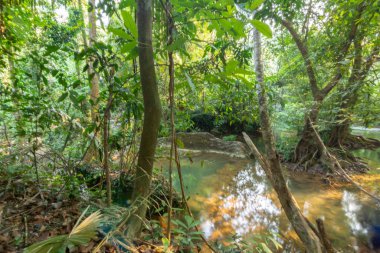 Güzel şelale sahnesi Kroeng Krawia Şelalesi Kanchanaburi, Tayland