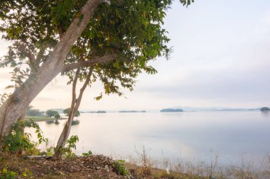 Kanchanaburi, Tayland 'daki Pee Khao Leaem Milli Parkı' nda ağaç ve su.