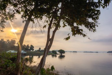 Kanchanaburi, Tayland 'daki Pee Khao Leaem Milli Parkı' nda ağaç ve su.