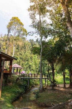 Kanchanaburi, Tayland 'da doğa sahnesi Kroeng Krawia Şelalesi